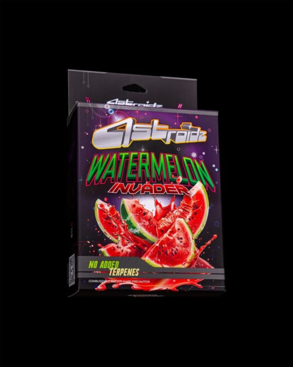 astroidz watermelon invader